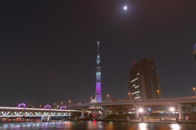 Tokyo Skytree Tower with cherry blossoms in full bloom at Sumida Park