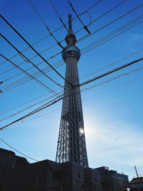 写真 東京スカイトリー