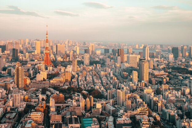 Photo the tokyo tower at sunset as seen from the mori musuem