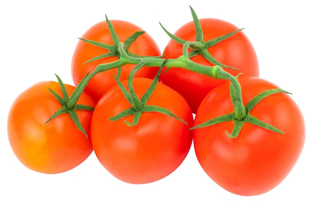 Tomaat. tomaten tak. tomaten geïsoleerd op wit. met uitknippad.