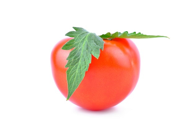 Tomaten geïsoleerd op wit