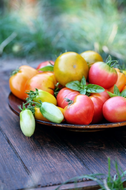 Tomaten in een houten kom