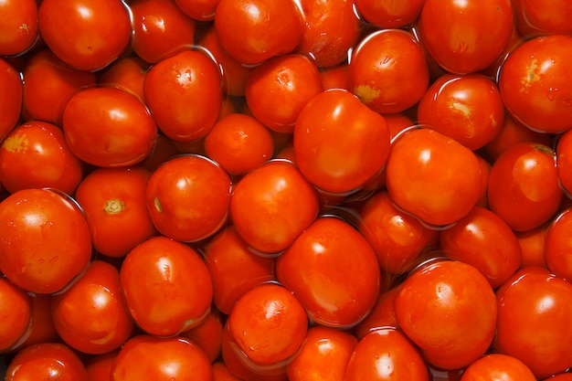 Tomaten in het water