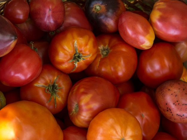 Tomaten liggen op een hoop op elkaar tomatentextuur boerderijgroenten