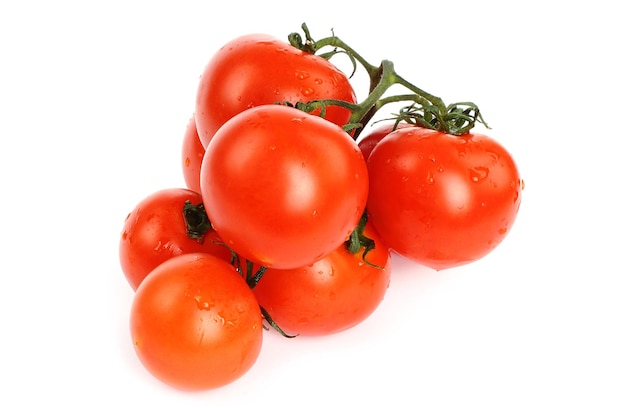 Tomaten met waterdruppels