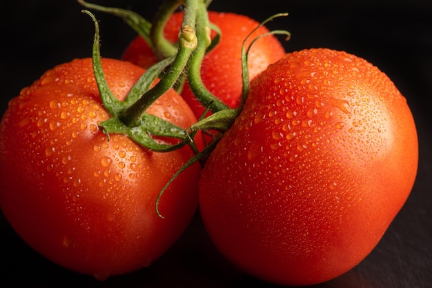 Tomaten, mooie tomaten met waterdruppels gerangschikt op een donkere ondergrond, selectieve focus.