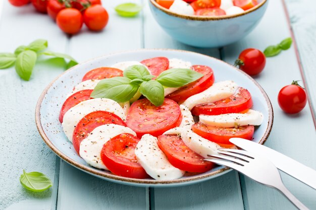 Tomaten, mozzarellakaas, basilicum en kruiden op grijs leisteen bord