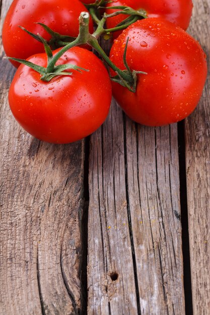 Tomaten op de tak