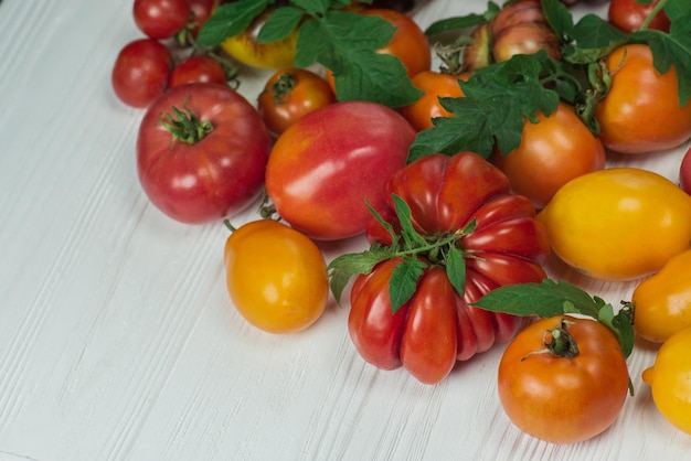 Tomaten op witte houten achtergrond Verse rijpe tuintomaten