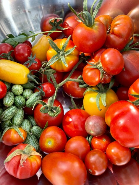 Photo tomaten