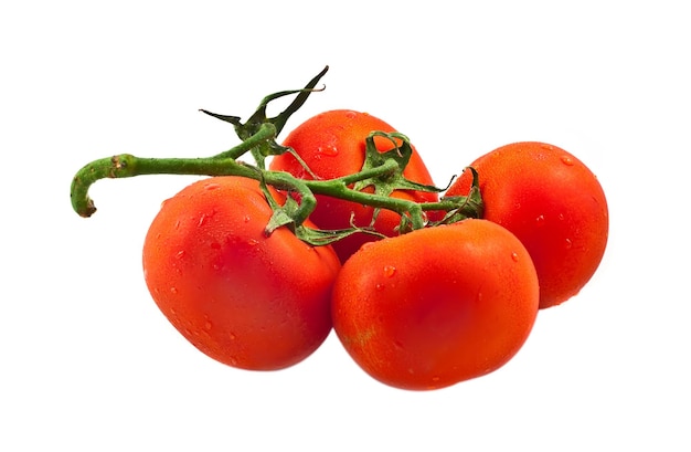 tomaten