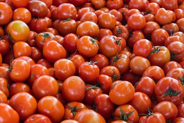 Tomatenachtergrond Verse tomatenvariëteit geteeld in de winkel Tomaten voor salade-voorgerecht en soep