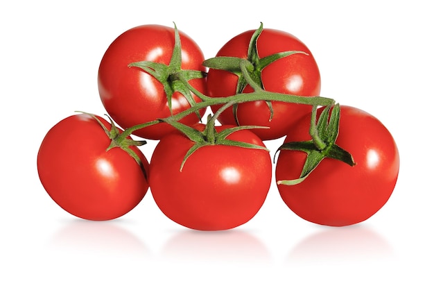 Photo tomato on a branch isolated on white background