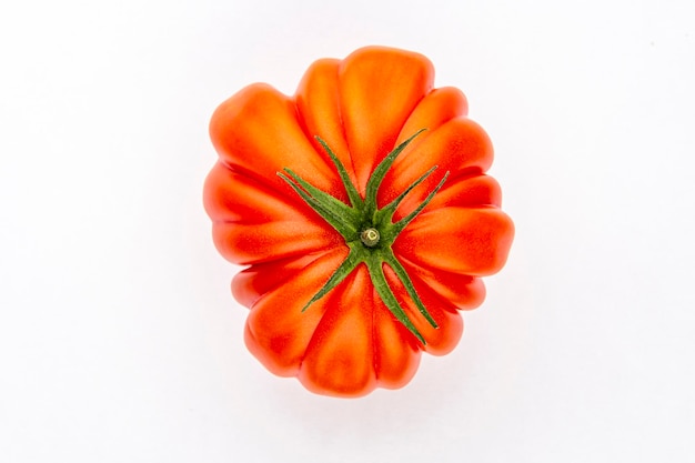 Tomato on the color background.