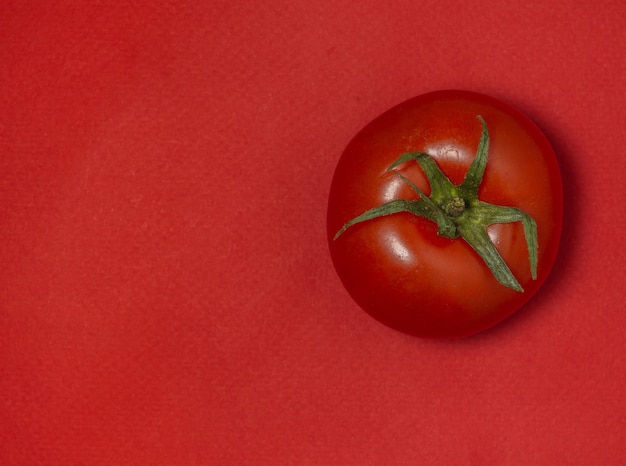 Tomato on colored paper Greenhouse tomato on a red background Bright background