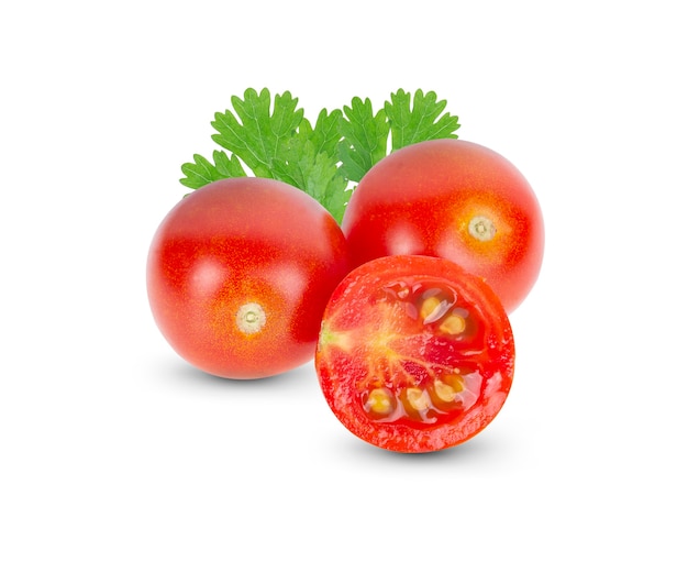 Tomato and coriander leaves isolated on white