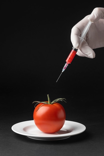 토마토 GMO 과학 식품