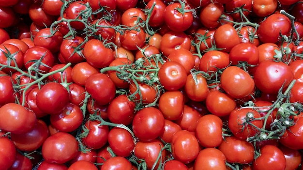 Tomato and green Branch of red tomatoes organic food background