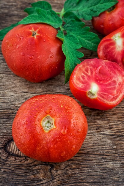 Tomato harvest