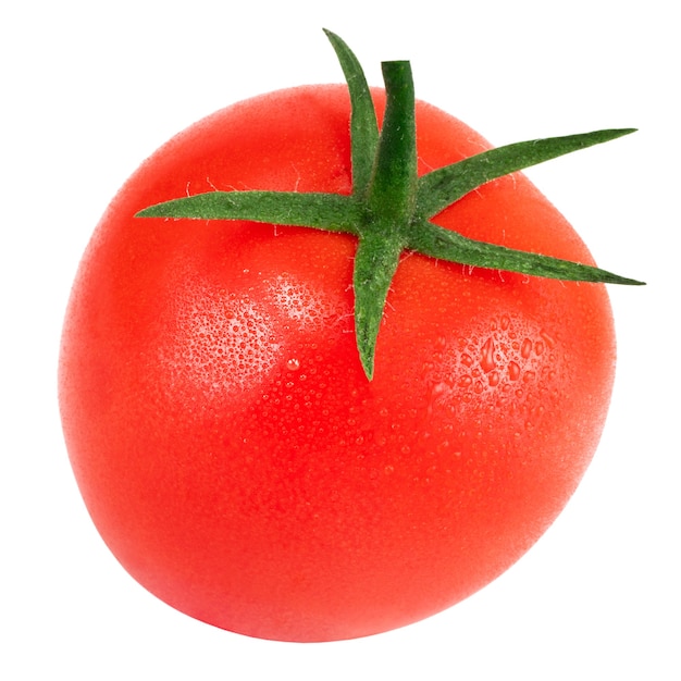 Tomato isolated on white