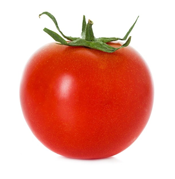 Tomato isolated