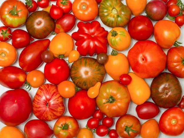 Tomato mix background Fresh organic tomatoes of different kind and shape