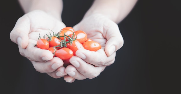 Tomato vegetables are the basis of a healthy diet