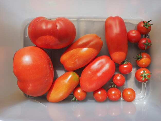 Tomato vegetables food