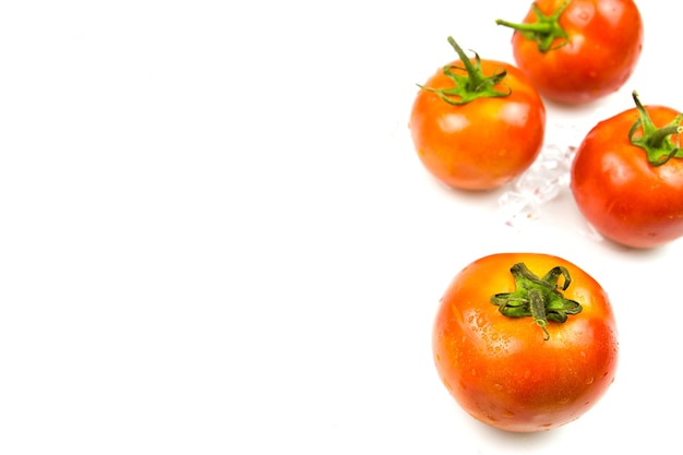 Tomato on white background 