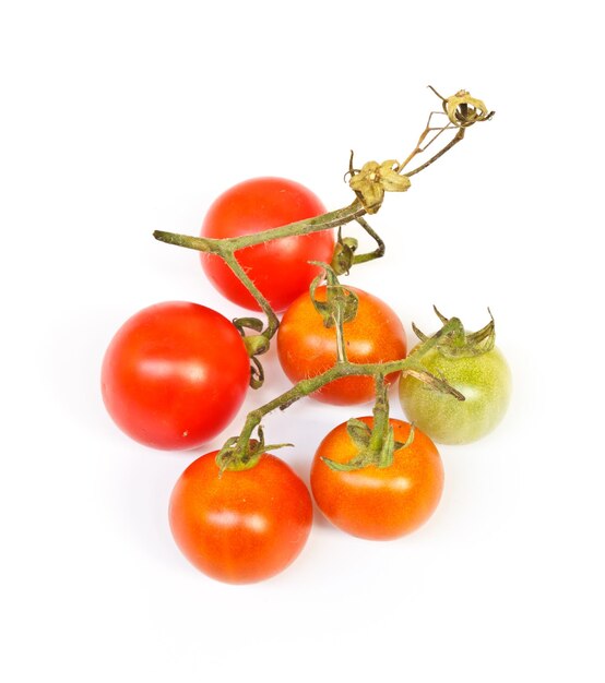 tomato on white