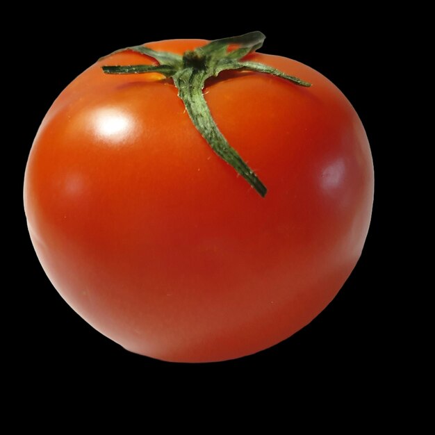 写真 トマト