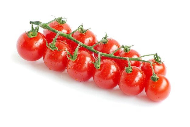 Tomato