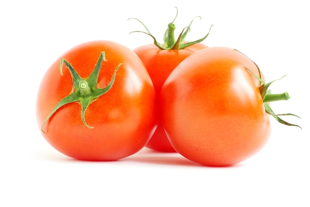 Tomato