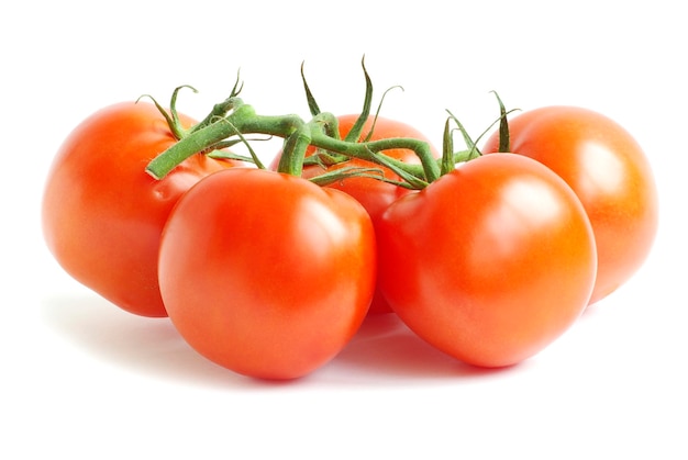 Tomato