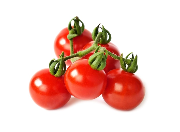 Tomato