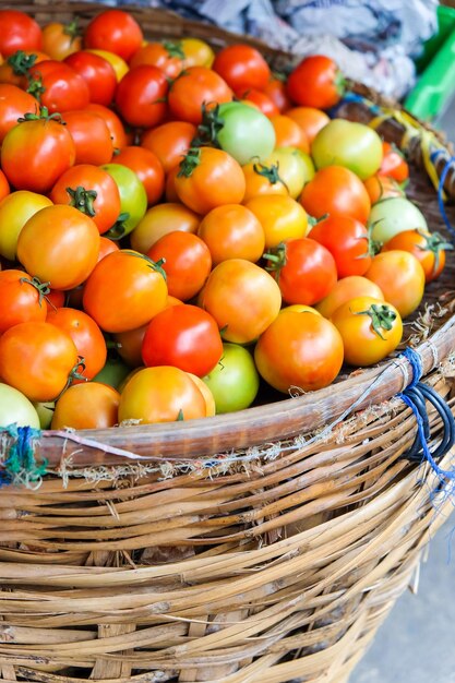 Tomatoes in basket