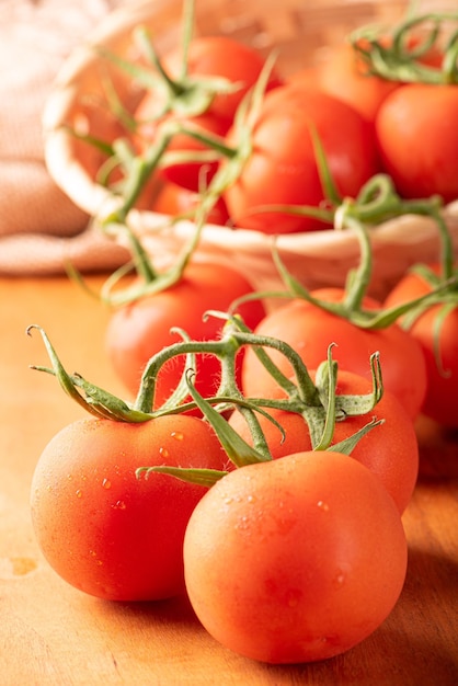 Tomatoes beautiful details of fresh red tomatoes on branches over rustic wood selective focus