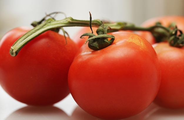 Tomatoes on a branch