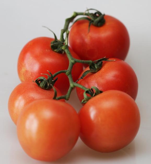 Tomatoes on a branch