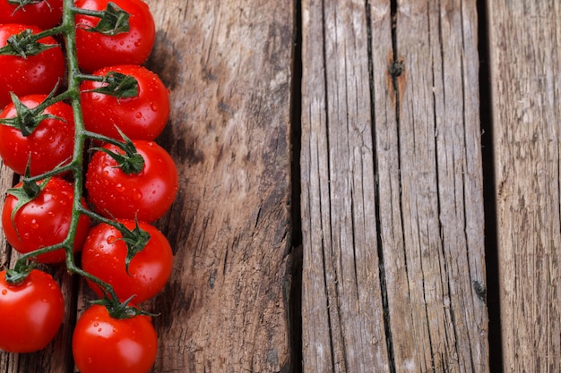 Tomatoes on the branch