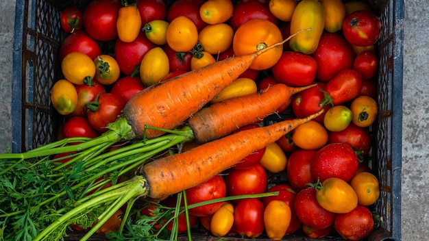 Помидоры морковь на столеморковь помидоры только что собранные в саду на деревянных досках морковь помидоры
