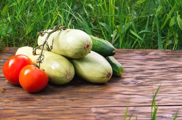 Pomodori, cetrioli e zucca su tavole di legno con erba verde sullo sfondo.