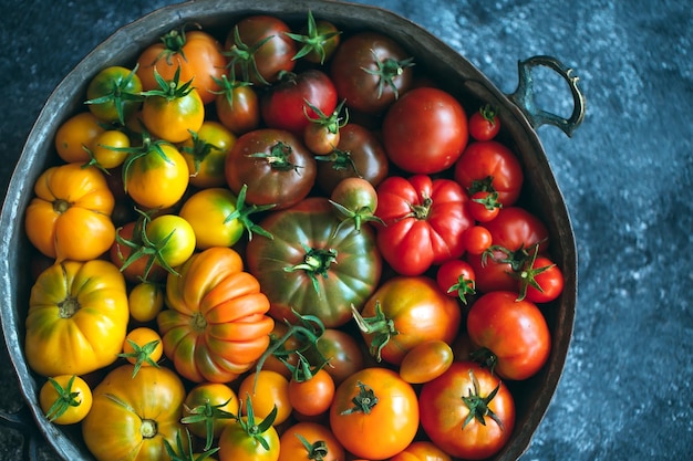 Foto i pomodori di diversi colori vengono visualizzati come una sfumatura su uno sfondo scuro.