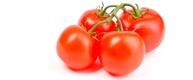 Tomatoes on a green branch isolated