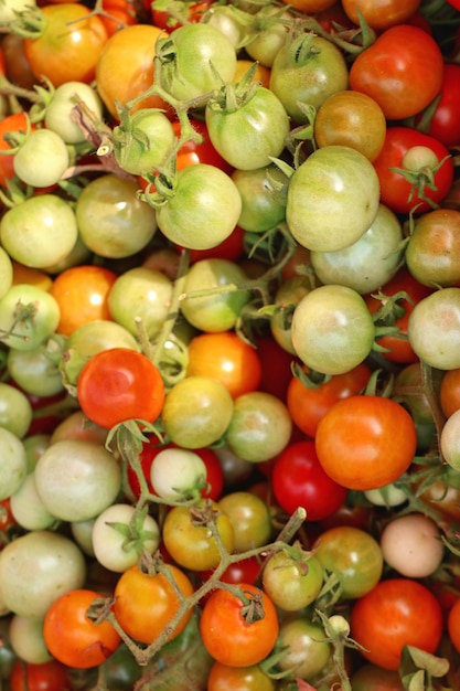 tomatoes at the market