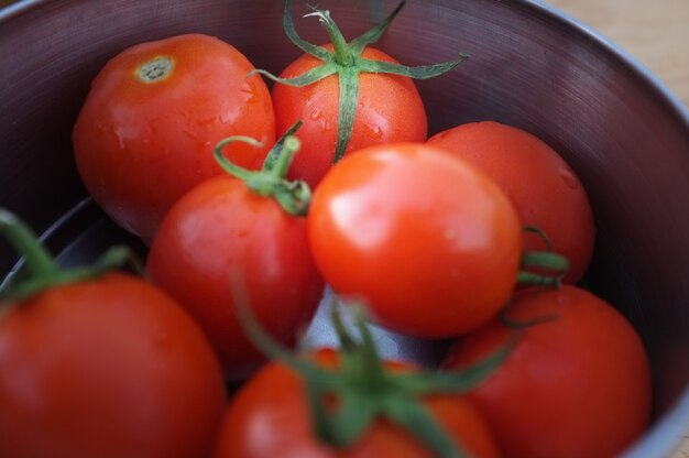 Tomatoes in metal bowl. 