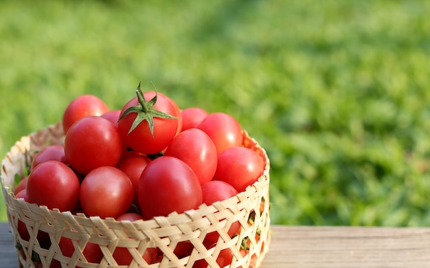 Tomatoes, on on the old wooden table