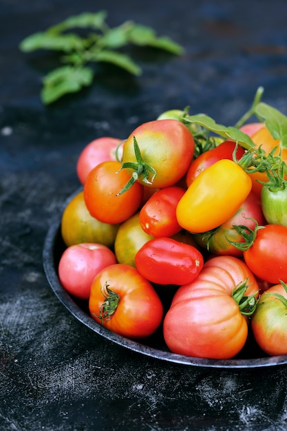 Tomatoes in plate