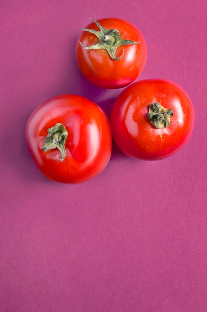 Tomatoes on purple background