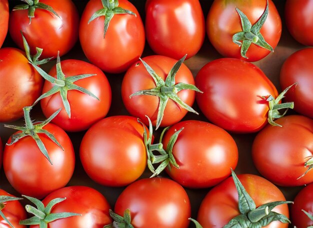 tomatoes top view